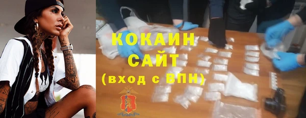 молекула духа Весьегонск