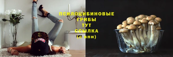 MDMA Михайловка