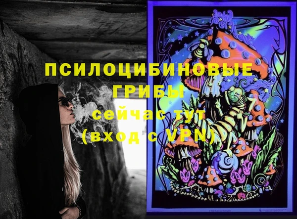 индика Навашино