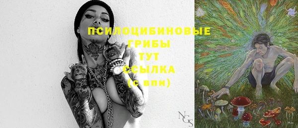 винт Надым